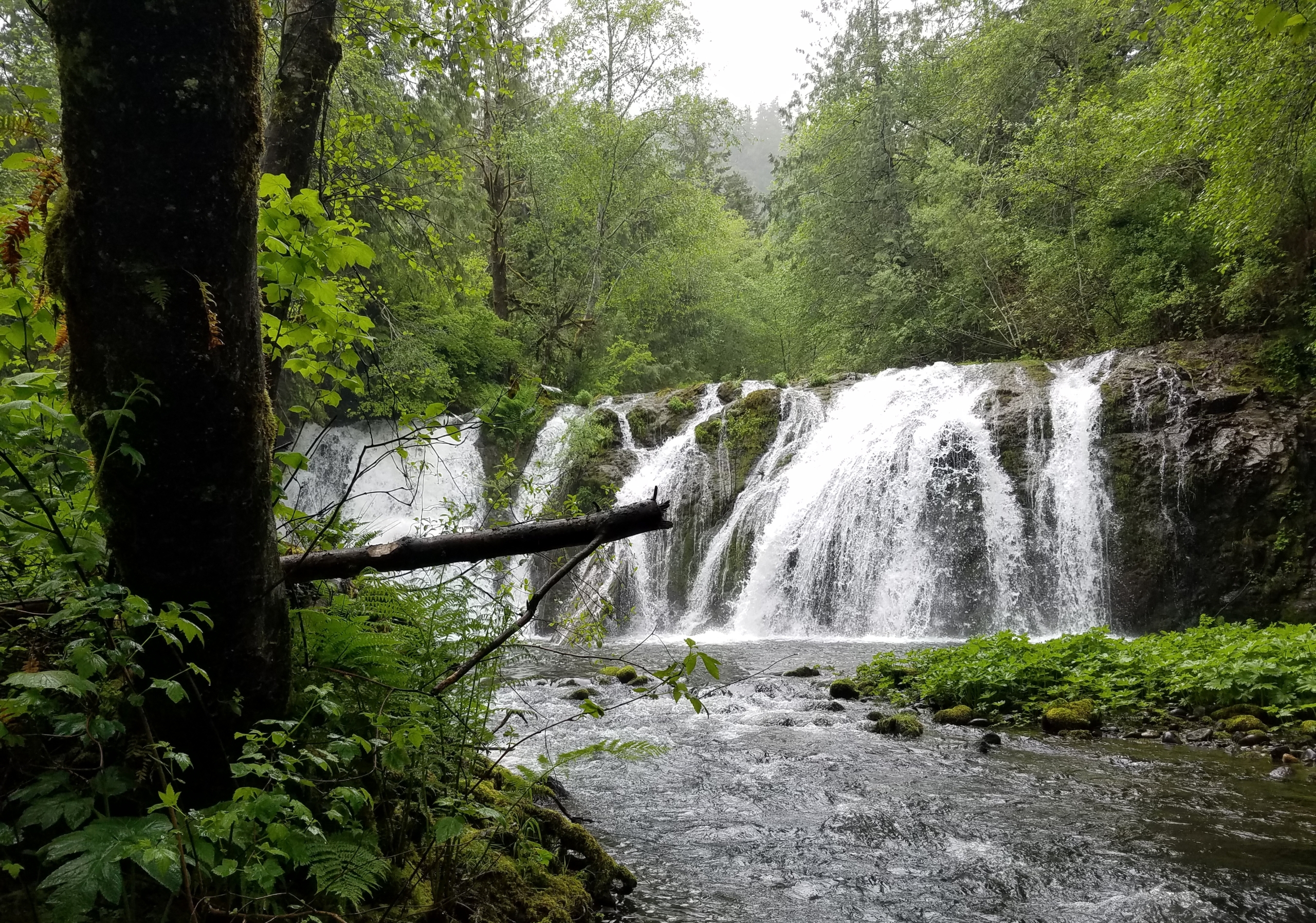 Beaver Falls in port angeles washington